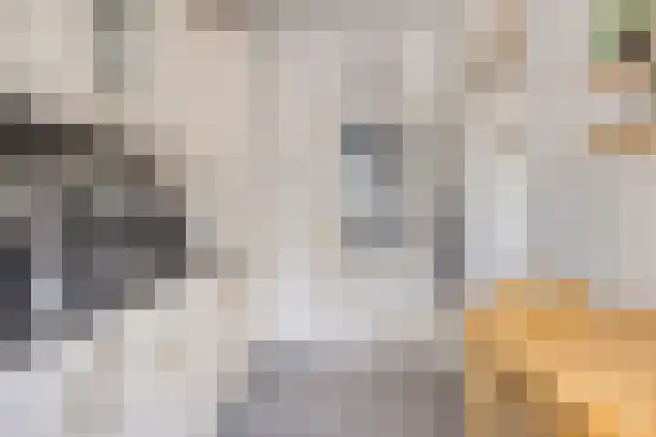 Hasselaarstraat 1 Eindhoven thumbnail 12