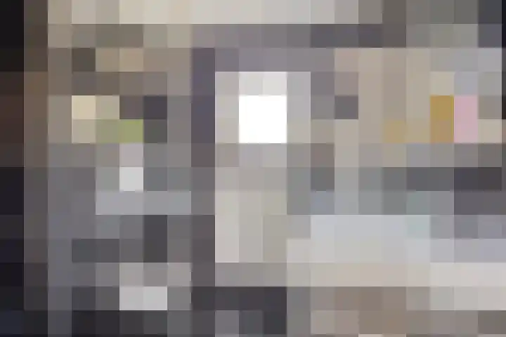 Hasselaarstraat 1 Eindhoven thumbnail 20