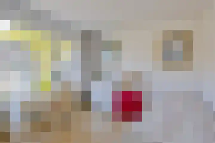 Hasselaarstraat 1 Eindhoven thumbnail 21