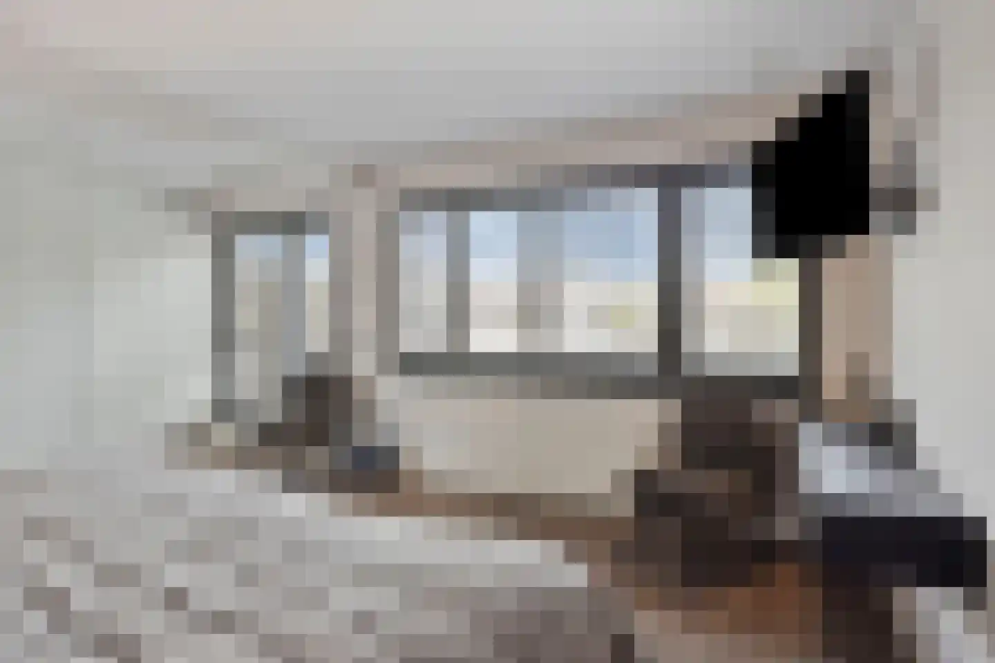 Hasselaarstraat 19 Eindhoven thumbnail 26
