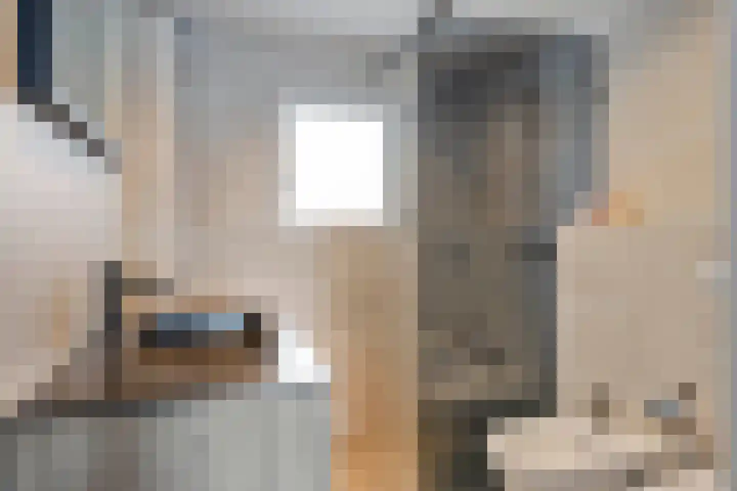 Hasselaarstraat 19 Eindhoven thumbnail 30