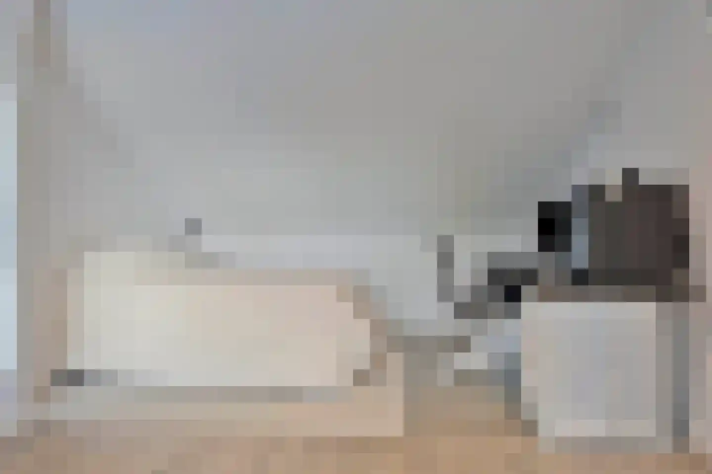 Hasselaarstraat 19 Eindhoven thumbnail 39