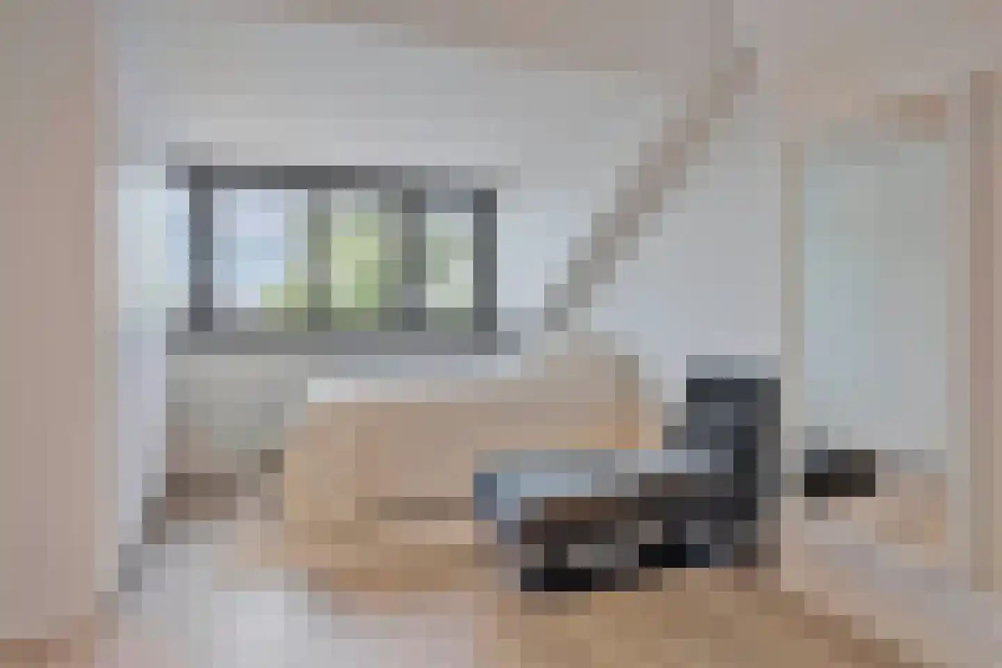 Hasselaarstraat 19 Eindhoven thumbnail 40