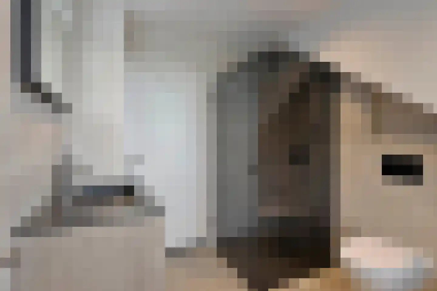 Hasselaarstraat 19 Eindhoven thumbnail 42
