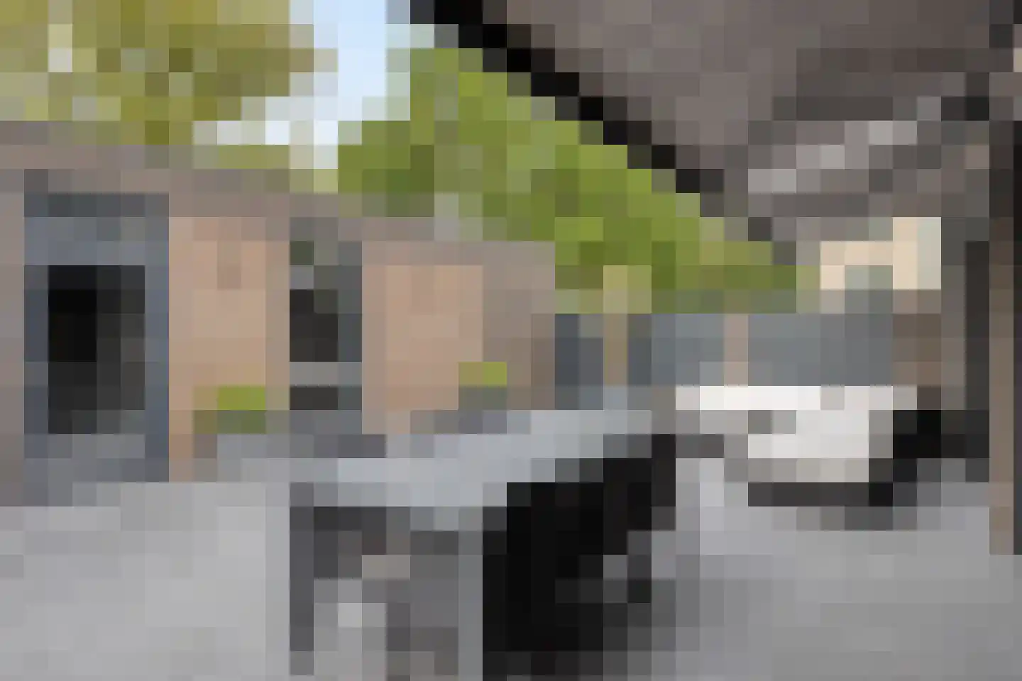 Hasselaarstraat 19 Eindhoven thumbnail 48
