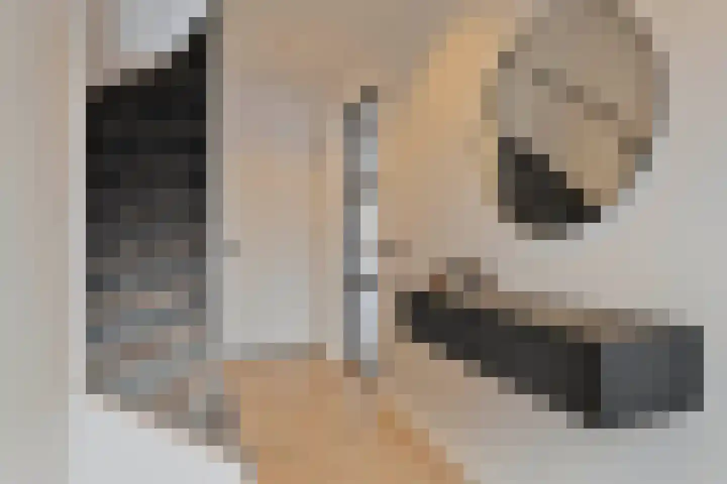 Hasselaarstraat 19 Eindhoven thumbnail 5