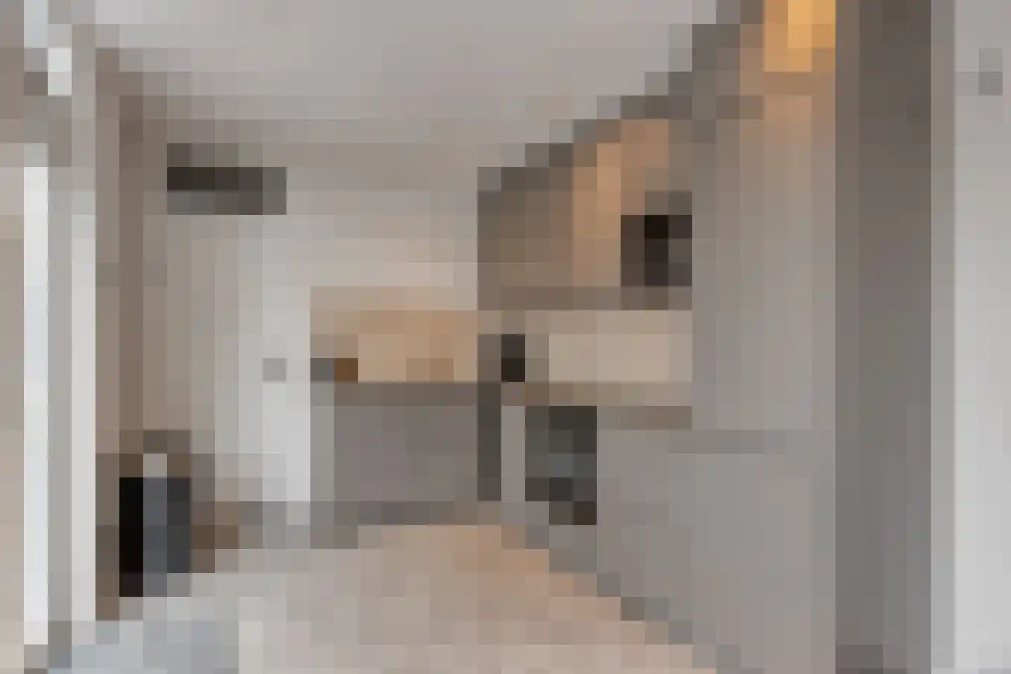 Hasselaarstraat 19 Eindhoven thumbnail 54