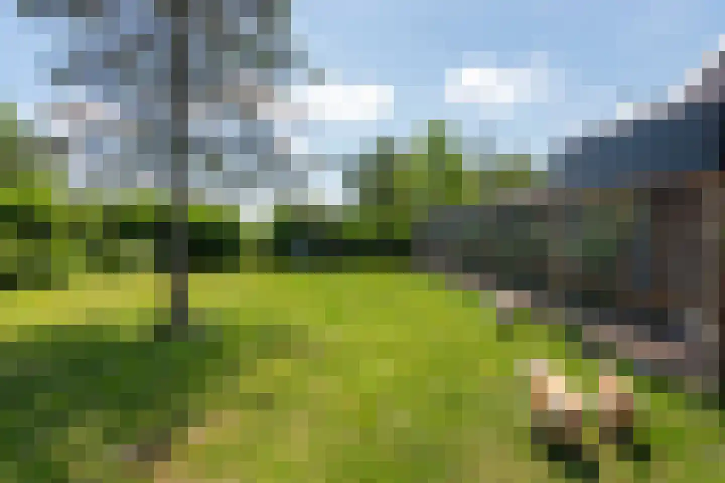 Hasselaarsweg 11 Heerhugowaard thumbnail 10