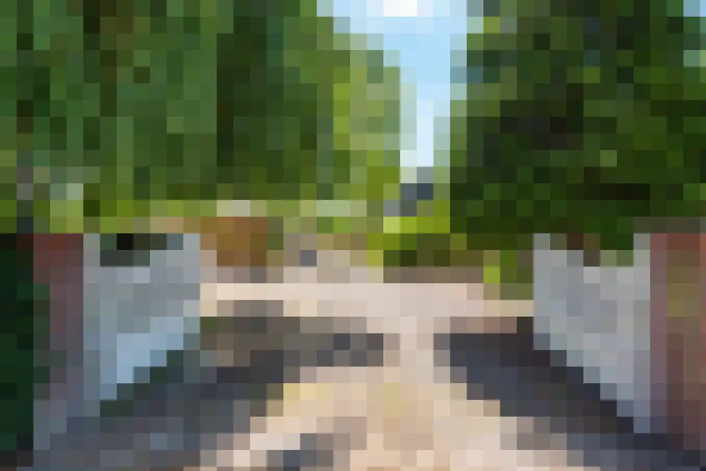 Hasselaarsweg 11 Heerhugowaard thumbnail 11