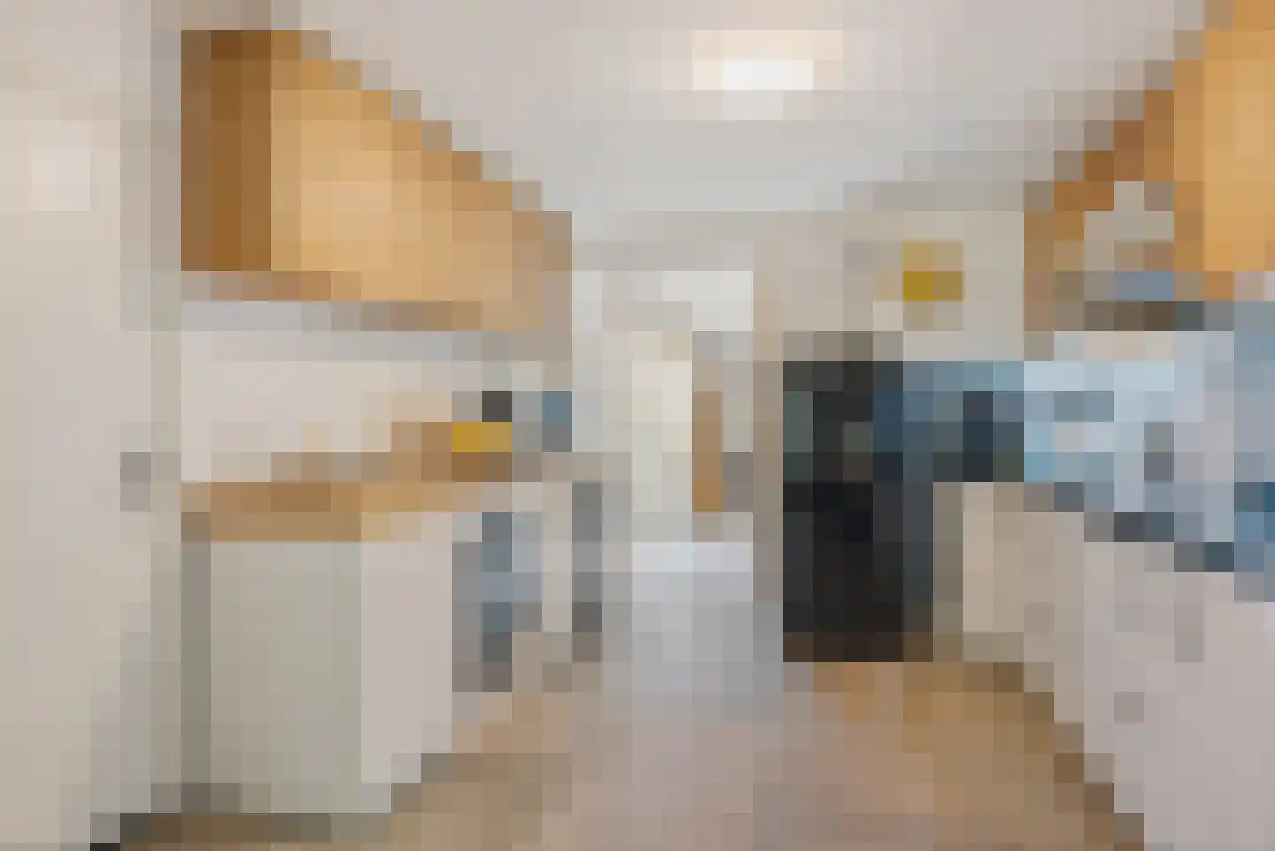 Hasselaarsweg 11 Heerhugowaard thumbnail 20