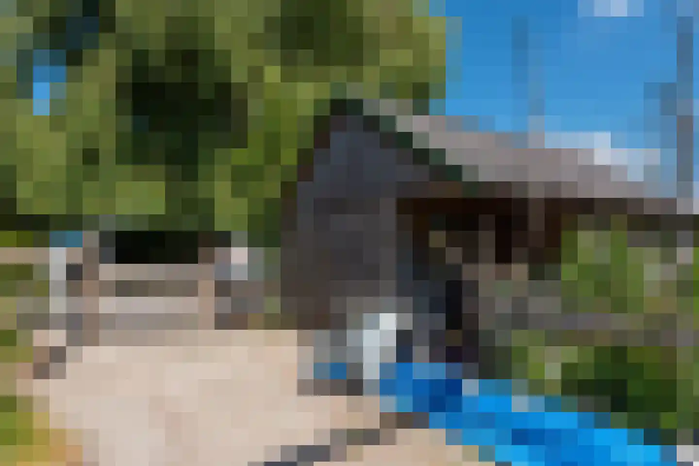 Hasselaarsweg 11 Heerhugowaard thumbnail 45