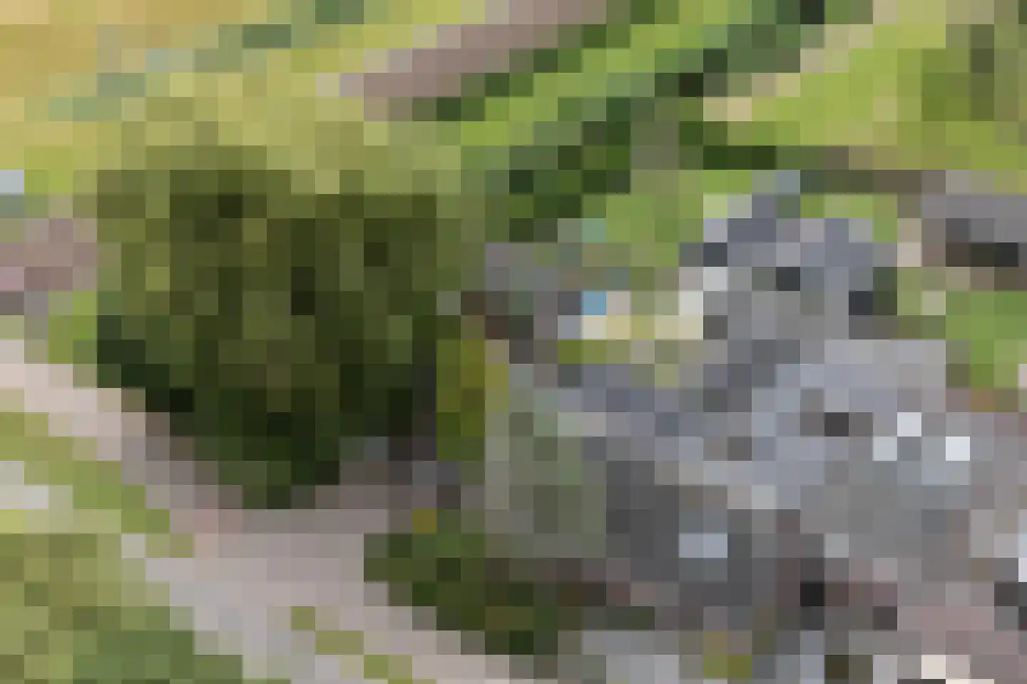Hasselaarsweg 11 Heerhugowaard thumbnail 51