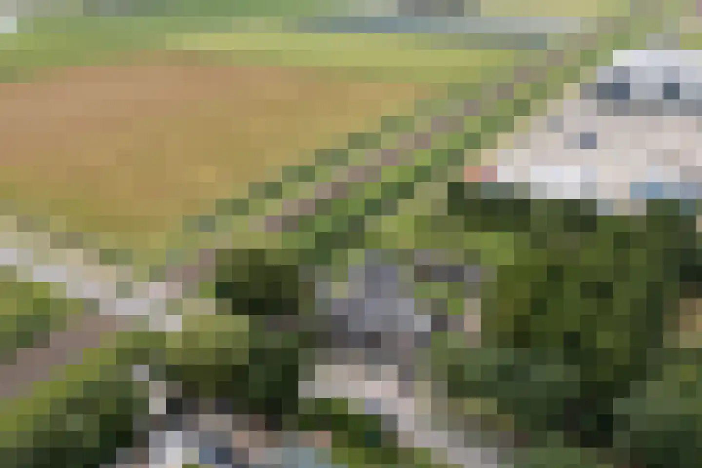 Hasselaarsweg 11 Heerhugowaard thumbnail 8