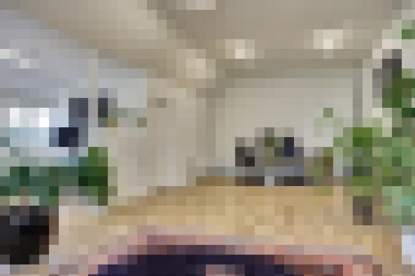 Hasselaarsweg 18 Heerhugowaard thumbnail 25