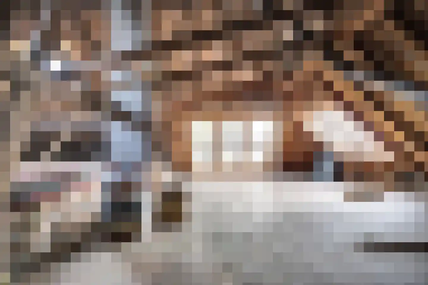 Hasselaarsweg 18 Heerhugowaard thumbnail 39