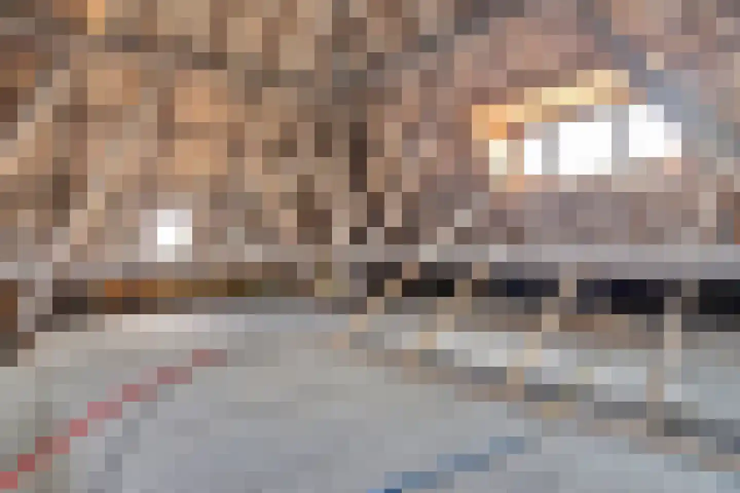 Hasselaarsweg 18 Heerhugowaard thumbnail 40