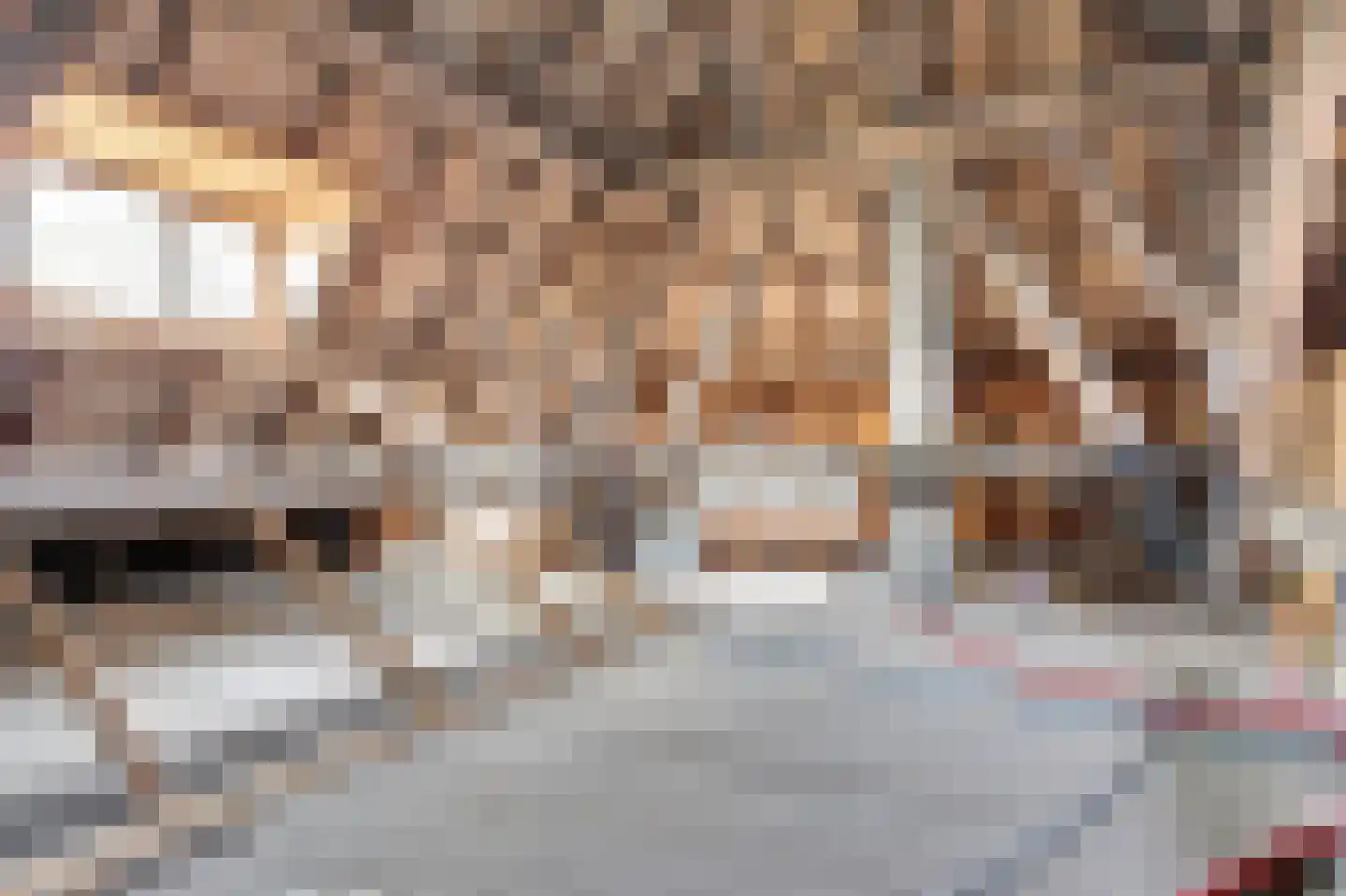Hasselaarsweg 18 Heerhugowaard thumbnail 41