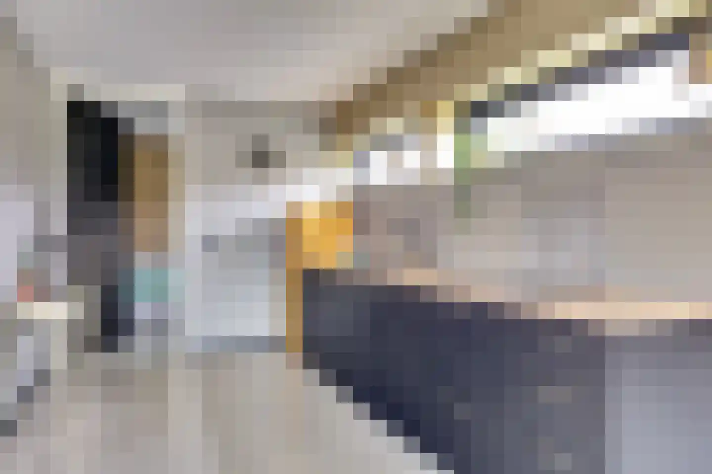 Hasselaarsweg 18 Heerhugowaard thumbnail 52