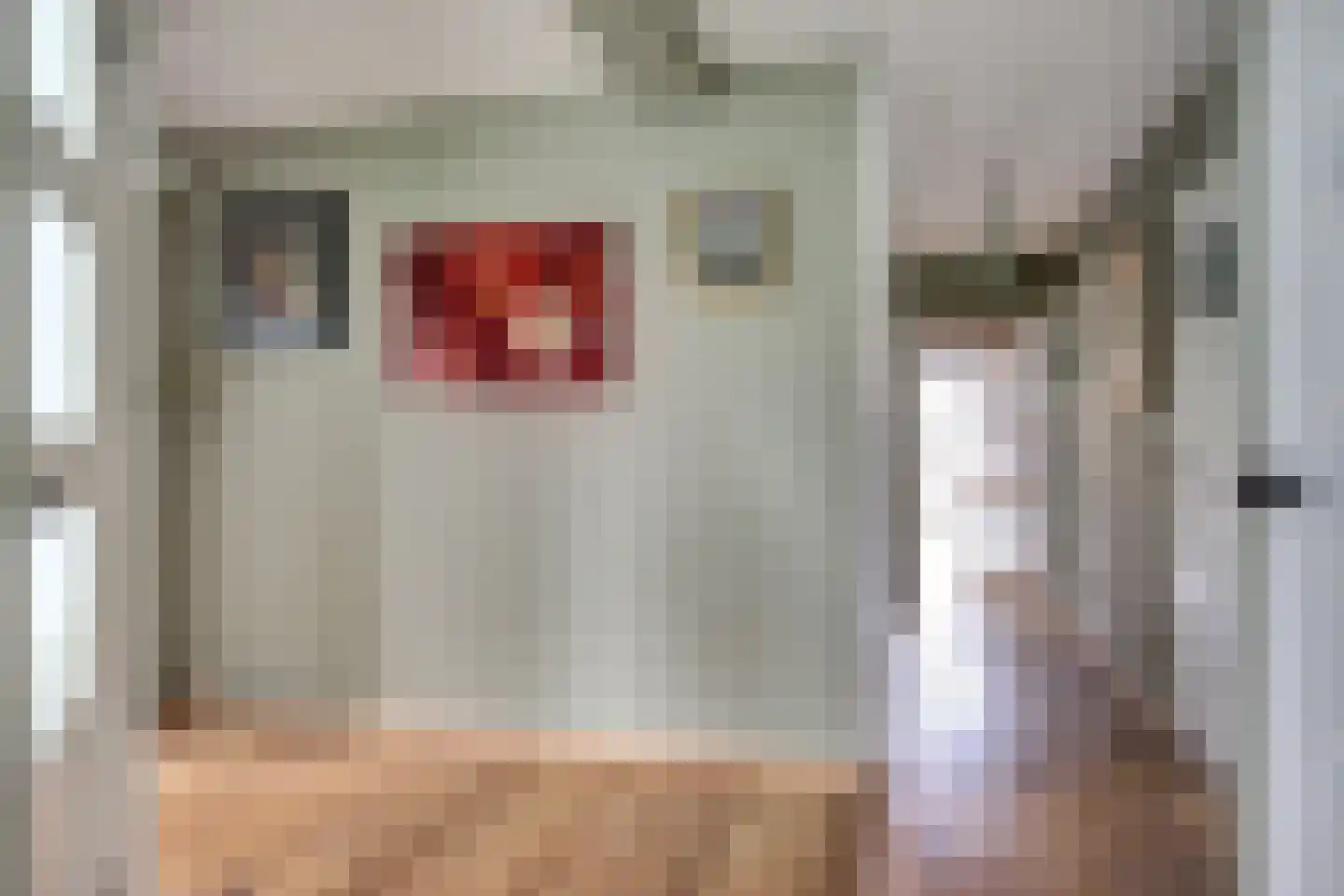 Hasselaarsweg 18 Heerhugowaard thumbnail 8