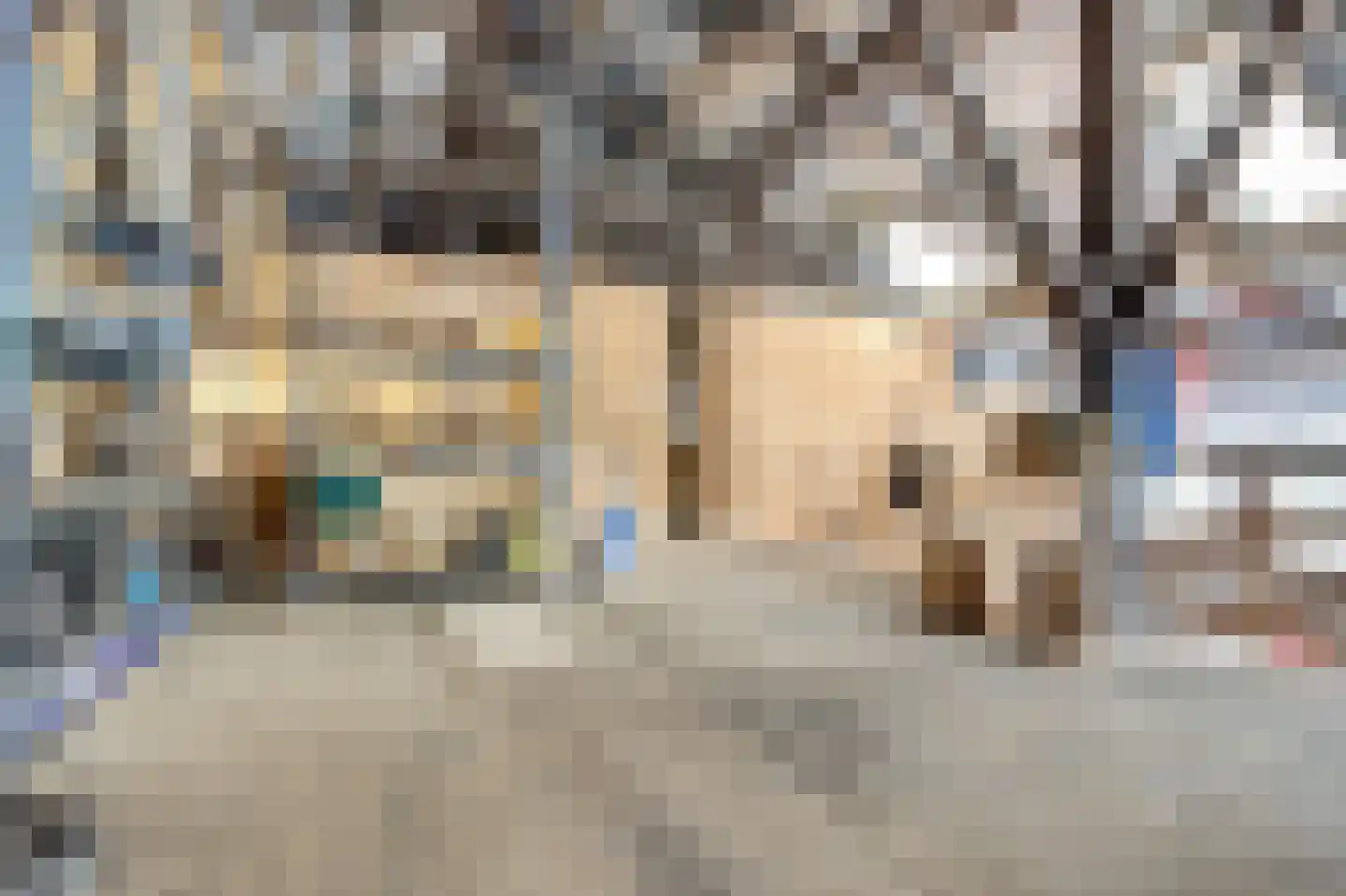 Hasselaarsweg 18 Heerhugowaard thumbnail 82