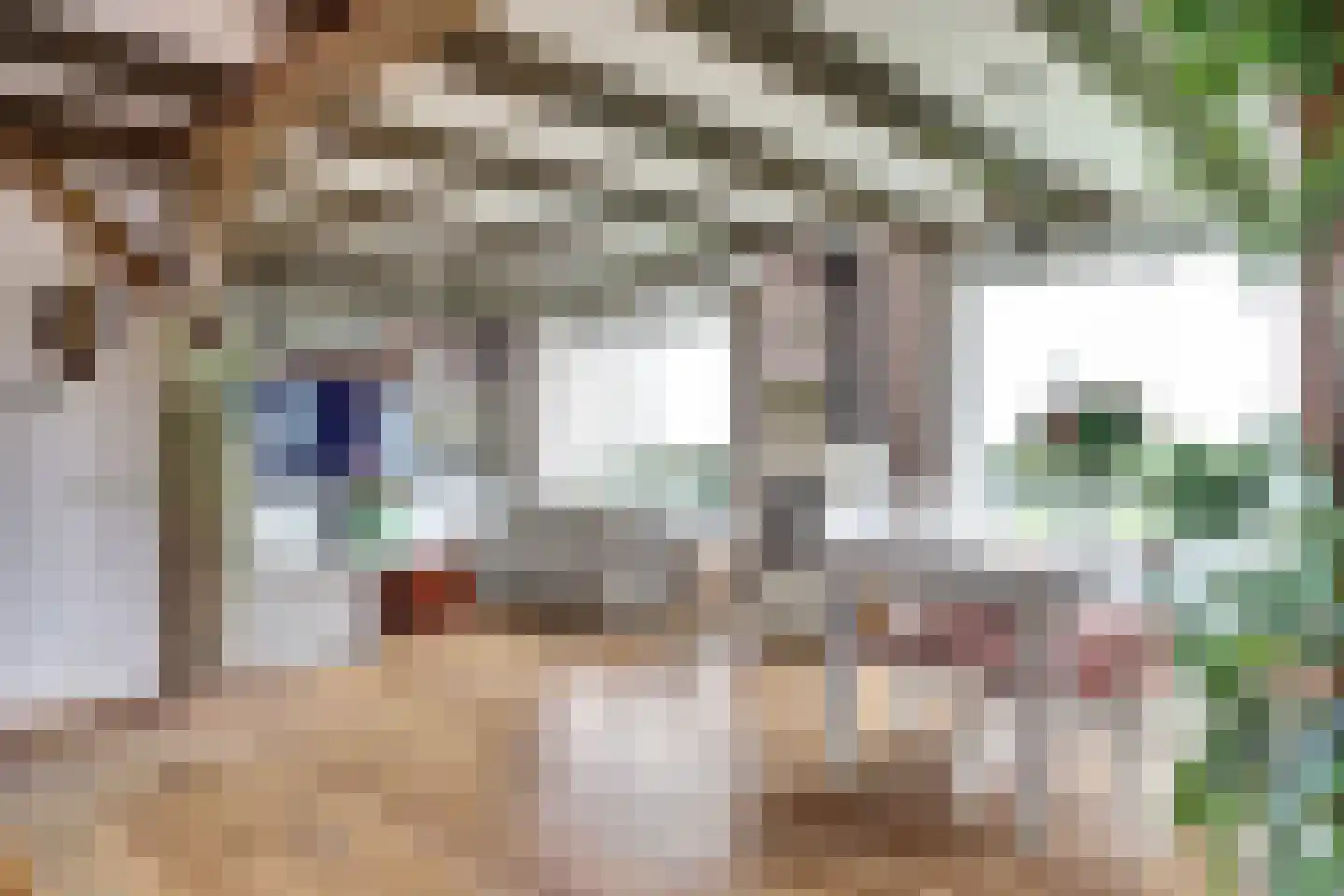 Hasselaarsweg 18 Heerhugowaard thumbnail 9