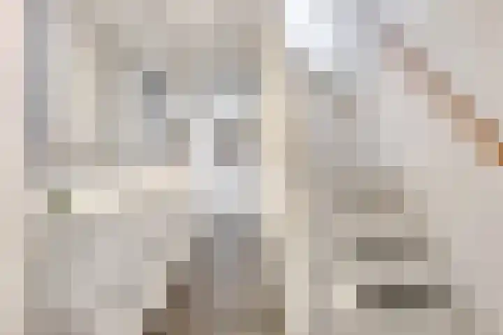 Hasselbeemden 12 Helmond thumbnail 12