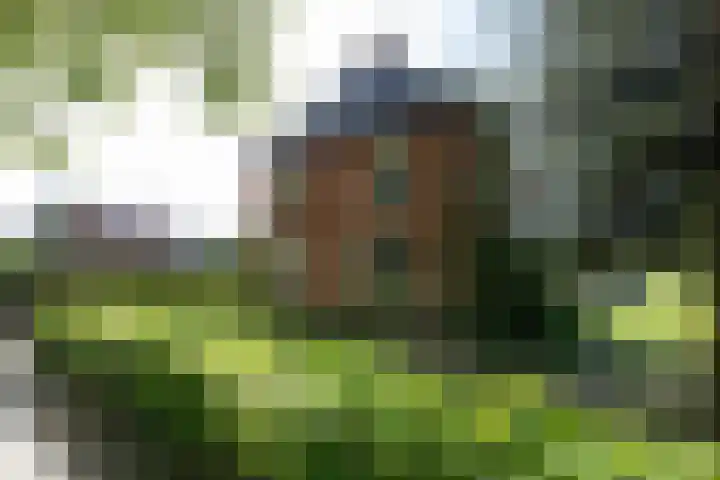 Hasselbeemden 12 Helmond thumbnail 24