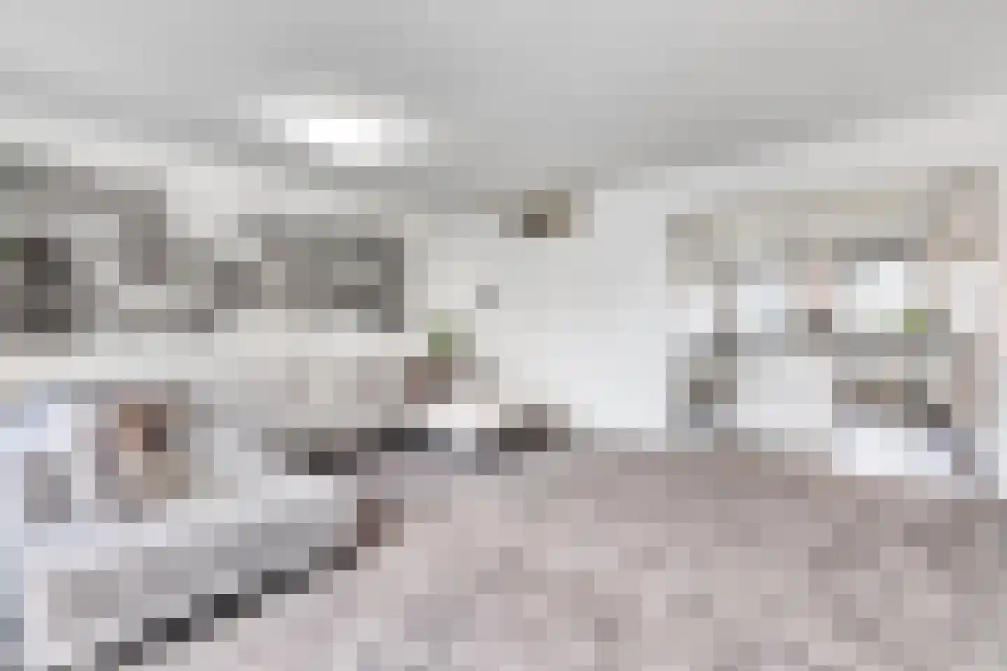Hasselbeemden 12 Helmond thumbnail 5