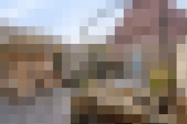 Hasselbeemden 24 A Helmond thumbnail 31