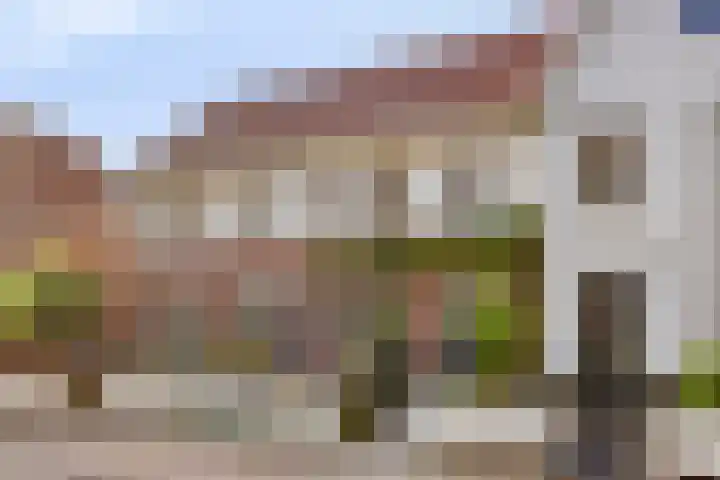 Hasselbeemden 24 A Helmond thumbnail 33