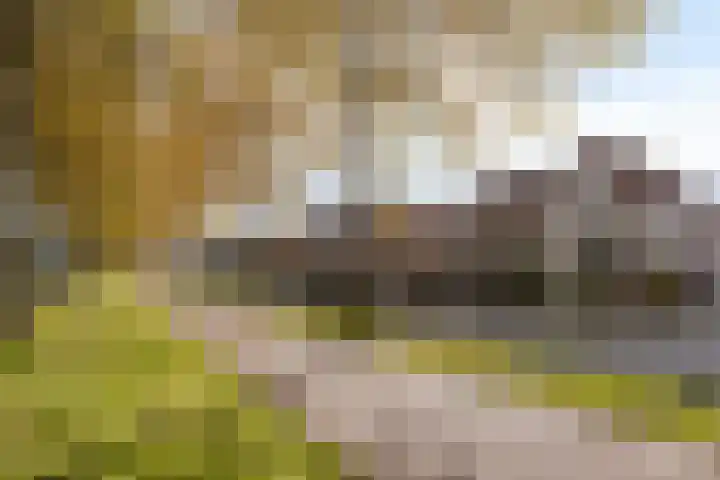 Hasselbeemden 24 A Helmond thumbnail 36