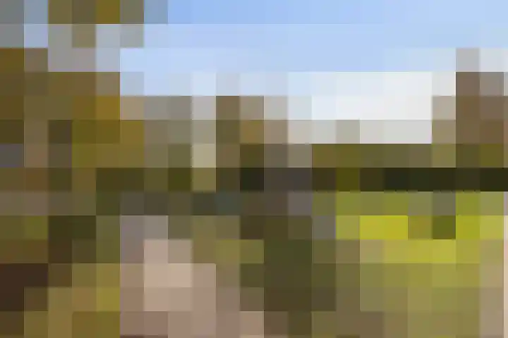 Hasselbeemden 24 A Helmond thumbnail 37
