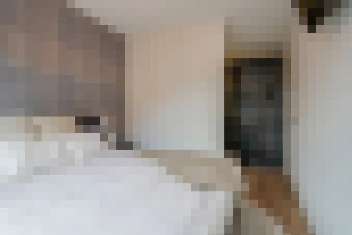Hasselbeemden 24 Helmond thumbnail 22