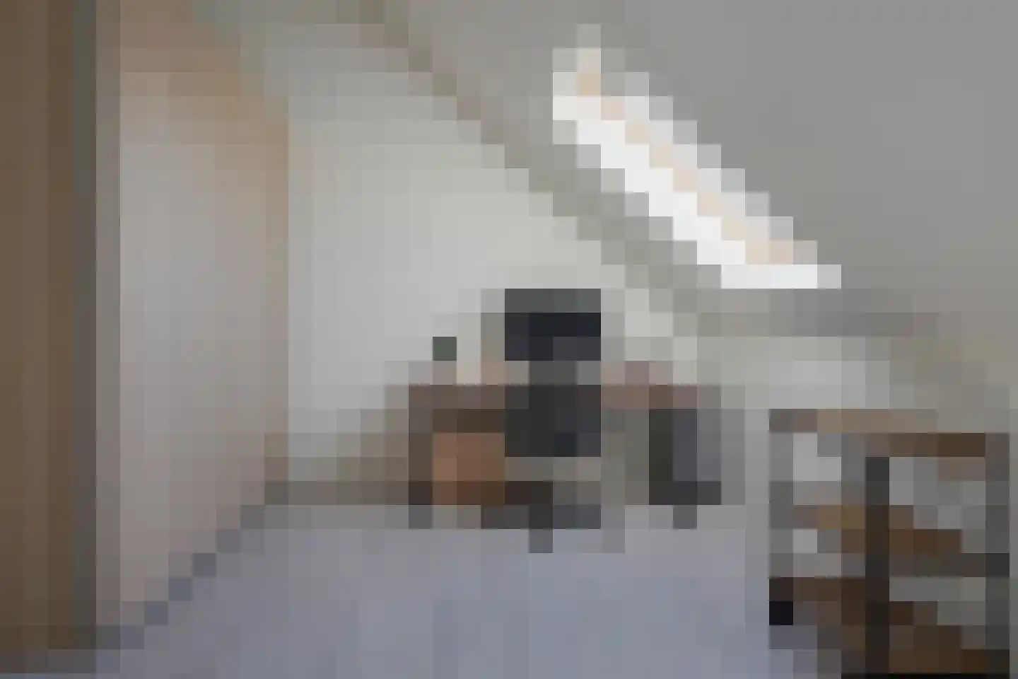 Hasselbeemden 28 Helmond thumbnail 40