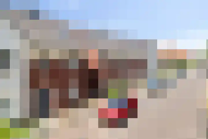 Hasselbeemden 46 Helmond thumbnail 11