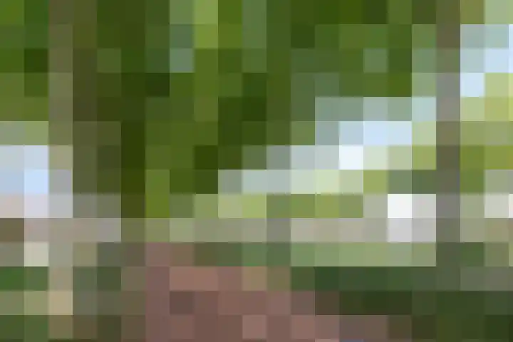 Hasselbeemden 46 Helmond thumbnail 33