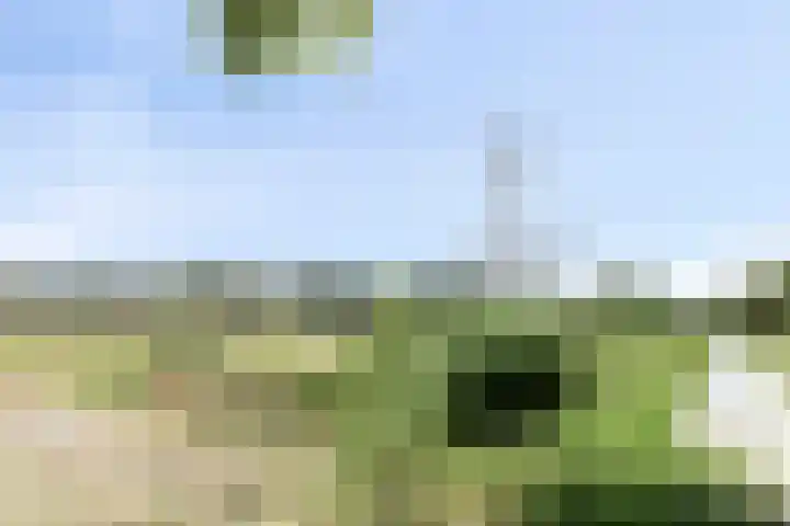 Hasselbeemden 46 Helmond thumbnail 34
