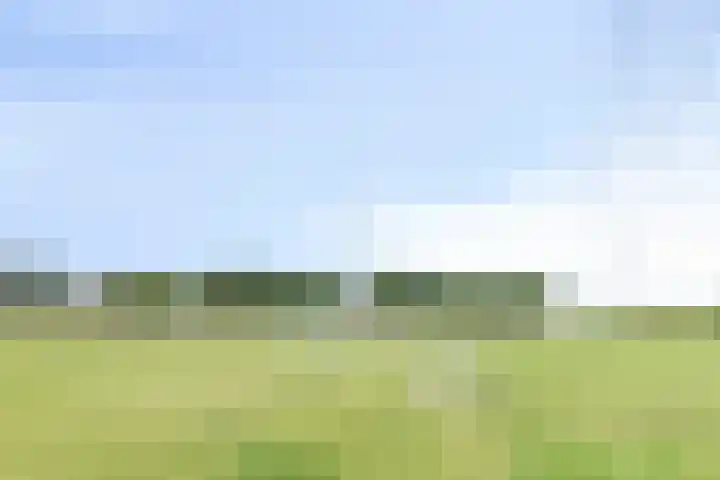 Hasselbeemden 46 Helmond thumbnail 35