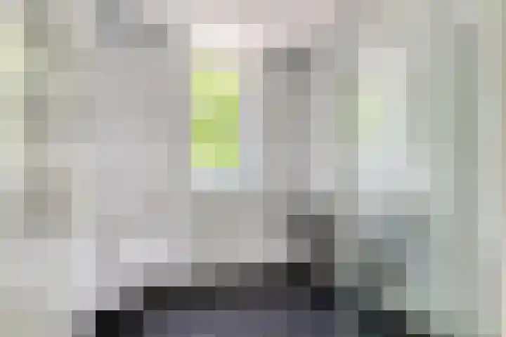 Hasselbeemden 46 Helmond thumbnail 5
