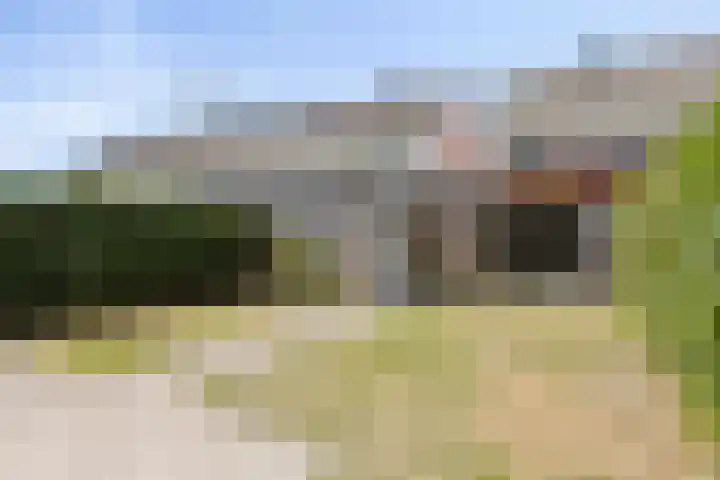 Hasselbeemden 46 Helmond thumbnail 6