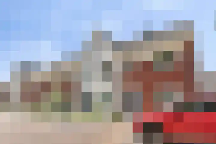 Hasselbeemden 46 Helmond thumbnail 8