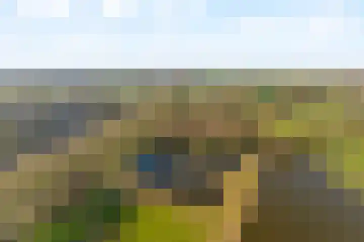 Hasselerweg 2 a Ommen thumbnail 10