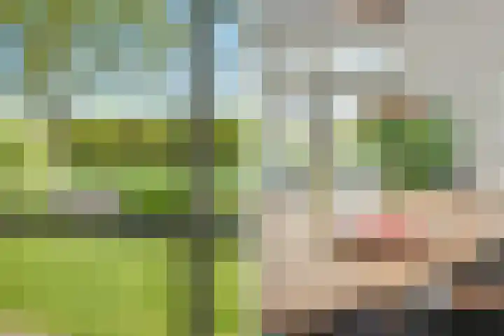 Hasselerweg 2 a Ommen thumbnail 38