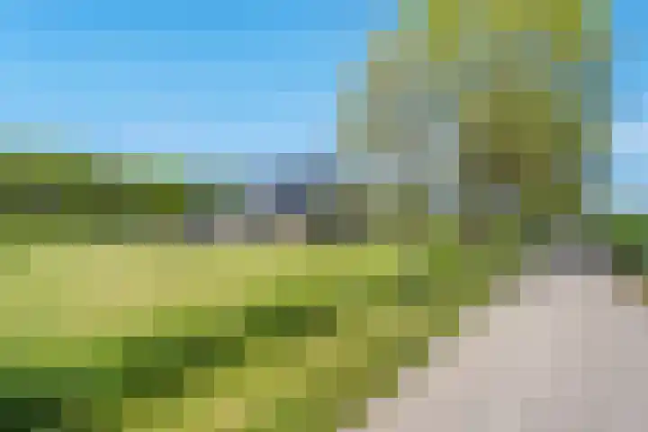 Hasselerweg 2 a Ommen thumbnail 5