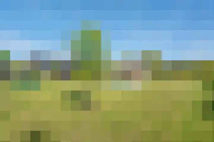 Hasselerweg 2 a Ommen thumbnail 61