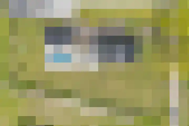 Hasselerweg 2 a Ommen thumbnail 7