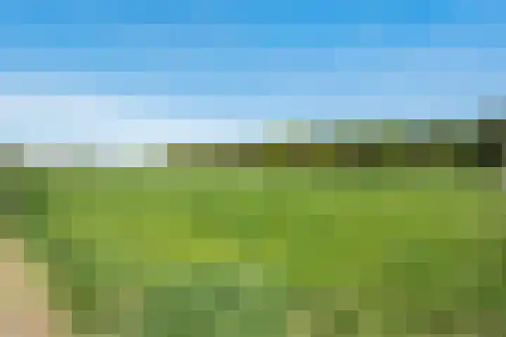 Hasselerweg 2 a Ommen thumbnail 9