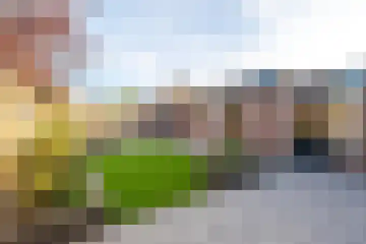 Hasselmanstraat 6 Nieuwendijk thumbnail 35