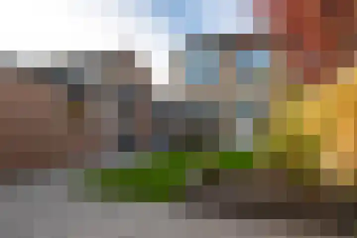 Hasselmanstraat 6 Nieuwendijk thumbnail 38