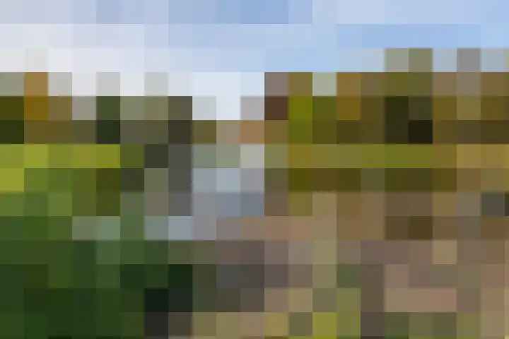 Hasselmanstraat 6 Nieuwendijk thumbnail 40